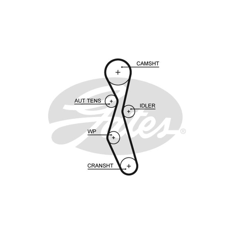 T/Belt Kit Kit (K015606XS)