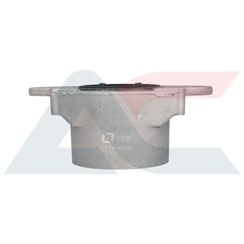 Strut Mounting Rear Ford Fiesta 01 To 08 (STR4000)