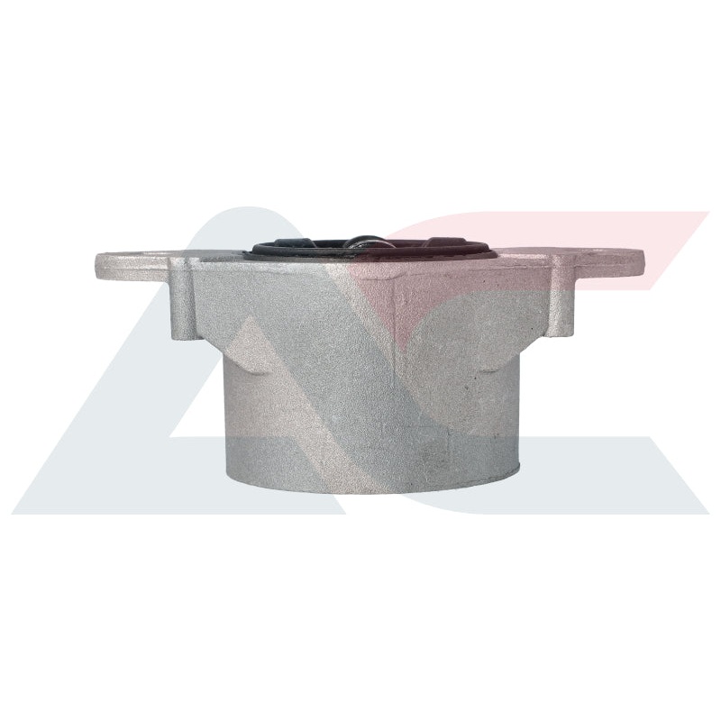 Strut Mounting Rear Ford Fiesta/Ecosport (STR4002)