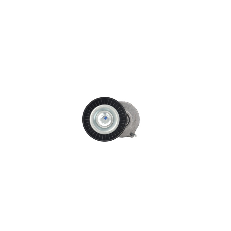 Fanbelt Tensioner Golf Tdi Polo (5630-113)