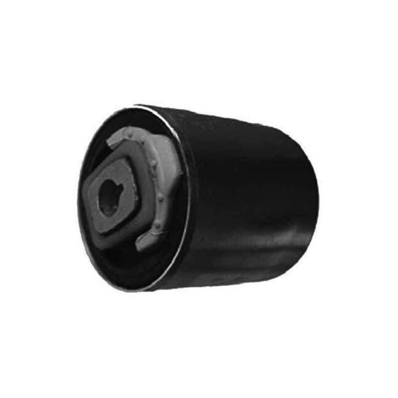 Audi A4 Front Lower Control Arm Bush