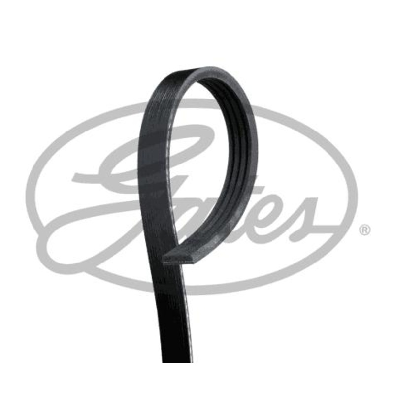 Multi-V Belt (5PK1590) [Gates]