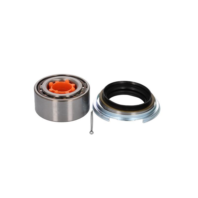 Wheel Bearing Kit (113) (Fag) (For 1 Wheel only)
