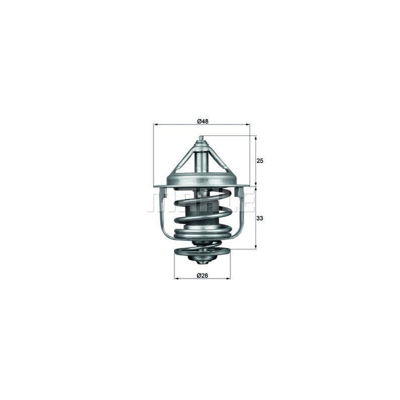 Behr-Mahle Thermostat 77 C With Seal (Tx8777D)