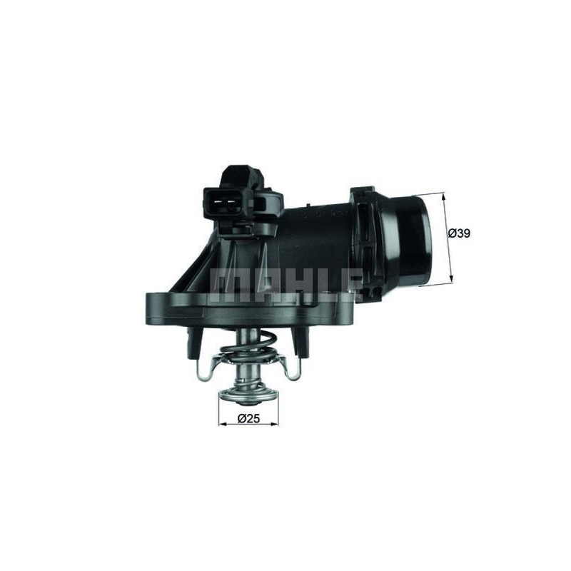 Behr-Mahle Thermostat -Bmw N42 N45 (Tm18105)