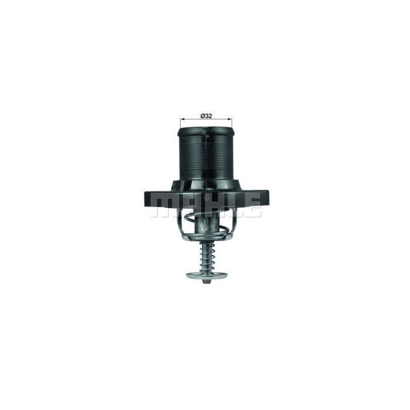 Behr-Mahle Thermostat Peugeot 406 (Ti18289)