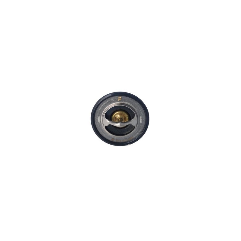 Echlin Thermostat (2368)