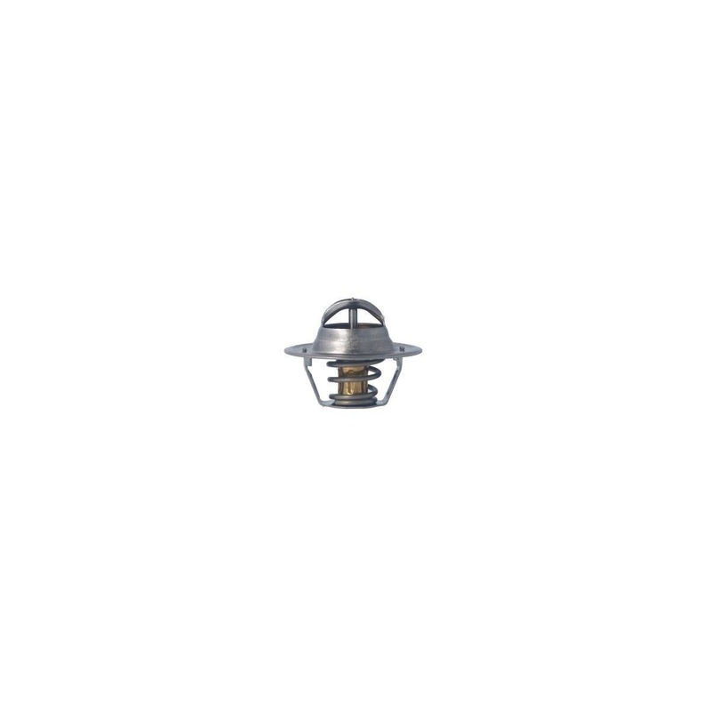 Hella Thermostat (207.87)