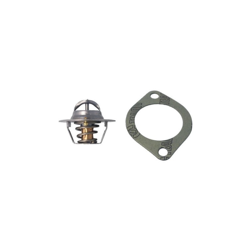 Thermostat - 74C (Vt218.74)