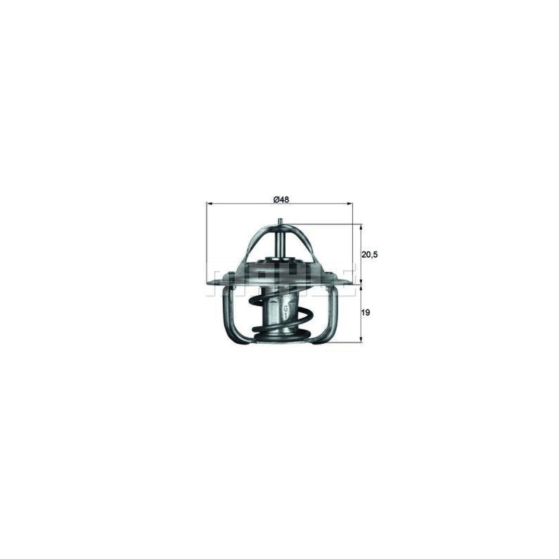 Behr-Mahle Thermostat For/Maz/Ope (Tx183D)