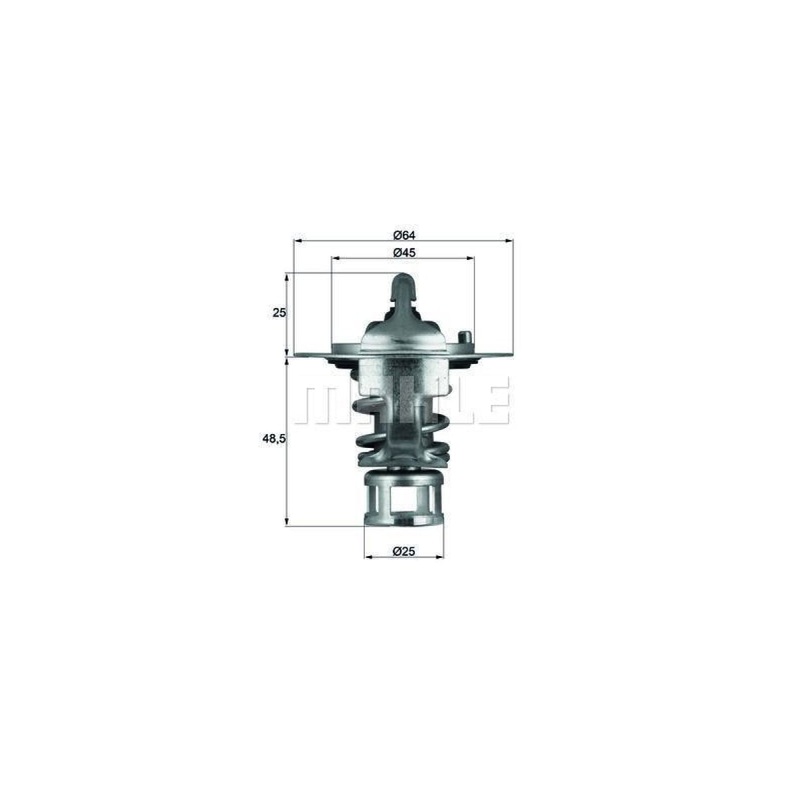 Behr-Mahle Thermostat Nissan (Tx6582)