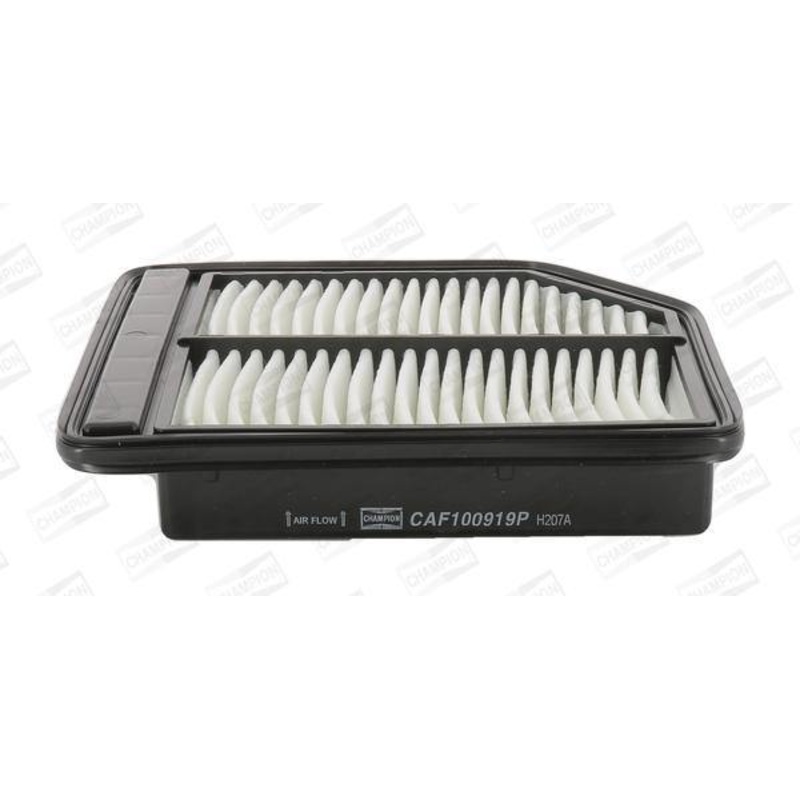 Caf100919P Air Filter Ag1440