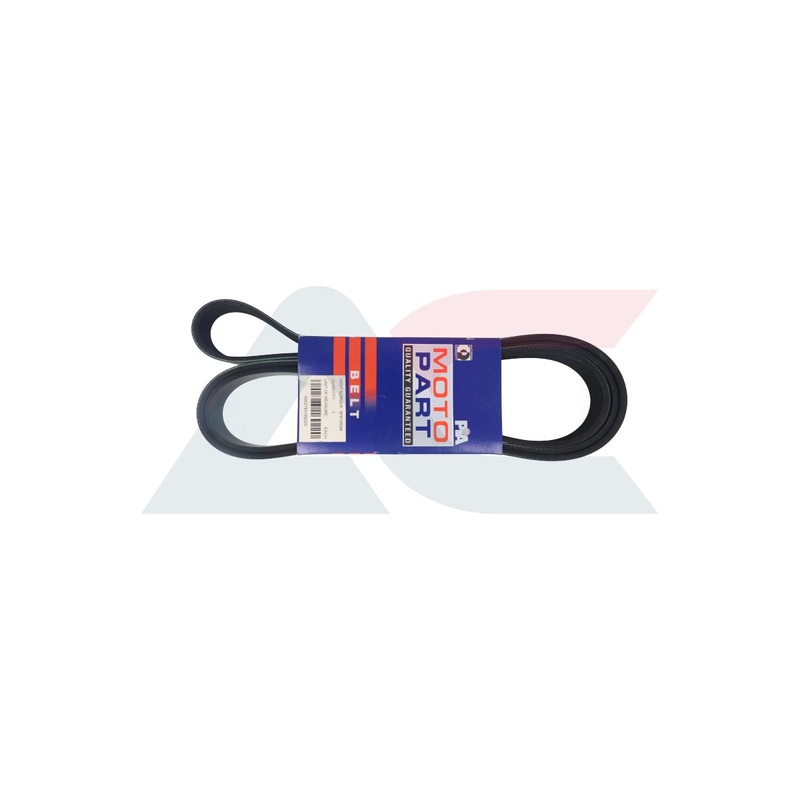 Micro-V-Belt Dodge (6PK1955M)