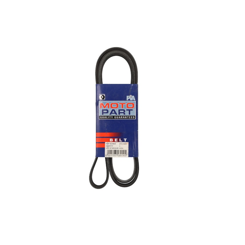 Micro-V-Belt Focus (6PK1740M)