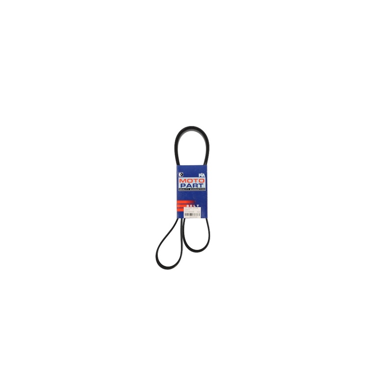 Micro V Belt Ford (6PK1588M)