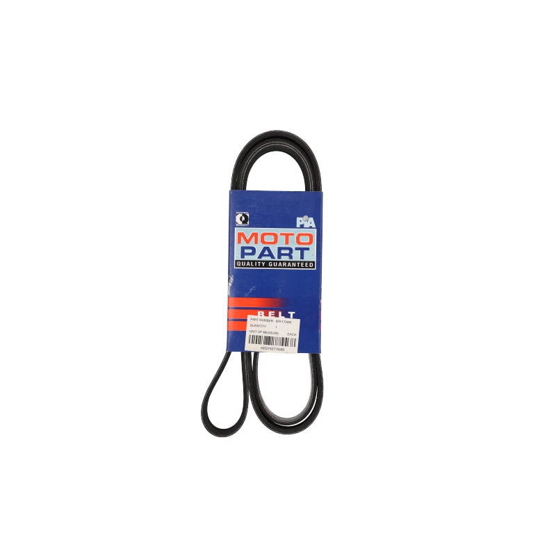 Micro V Belt Ford (6PK1700M)