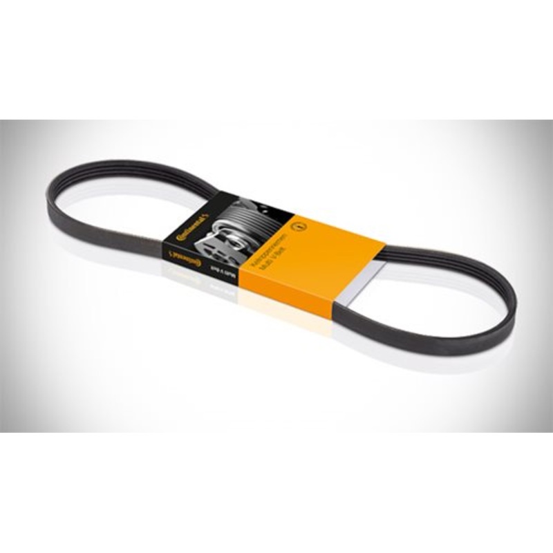 Micro V Belt Ford Fiesta 1.4I Duratec (6PK1019ELAST)