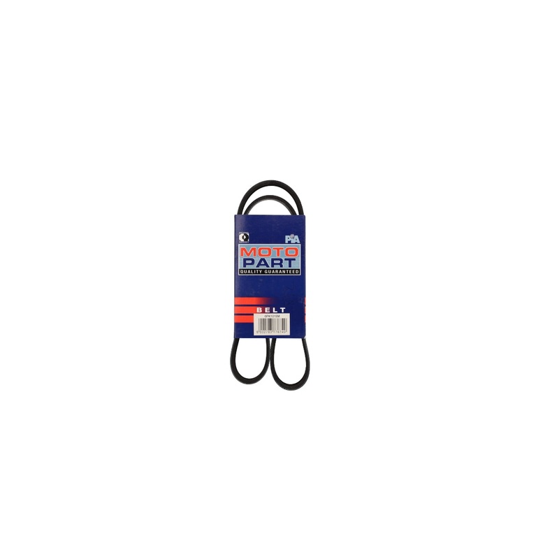 Micro V Belt Peugeot (6PK1015M)