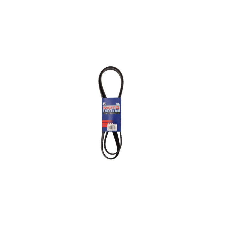 Micro-V-Belt Proton (6PK1675M)