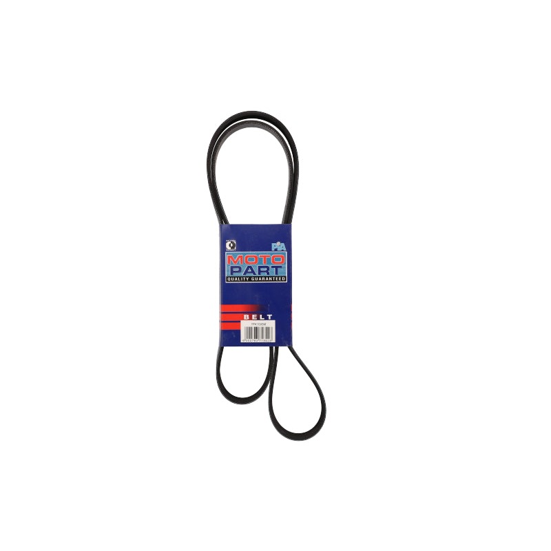 Micro-V-Belt Rav4 (7PK1595M)