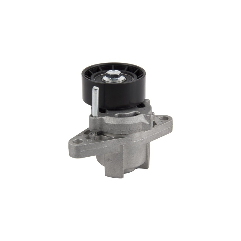 V Belt Tensioner Nissan NP200 1.6 (2008-), Renault Clio II (99-03), Kangoo (03-10), Sandero (09-), Megane I (96-02)